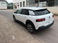 Gebraucht Citroën C4 Shine 110 PS (80 kW) 2020 Weiß SUV
