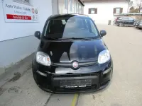 Neu Fiat Panda 69 PS (50 kW) 2025 Blau Kleinwagen