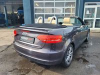 gebraucht Audi A3 Cabriolet Ambition Leder*Windschott*Wartung