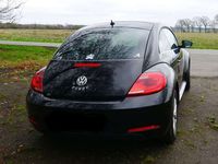 gebraucht VW Beetle Beetle The1.2 TSI Design