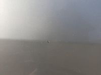 Gebraucht VW Golf Plus Cross Style 122 PS (89 kW) 2011 Silber Van / Kleinbus