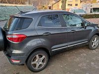 Gebraucht Ford Ecosport Titanium 140 PS (102 kW) 2018 Grau SUV
