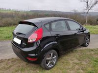 gebraucht Ford Fiesta 1,0 EcoBoost 74kW S/S SYNC Edition