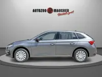 Neu Skoda Scala Selection 116 PS (85 kW) 2026 Steelgrau Kleinwagen