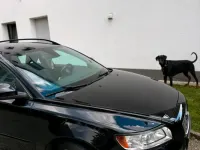 Gebraucht Volvo V50 125 PS (91 kW) 2010 Schwarz Kombi