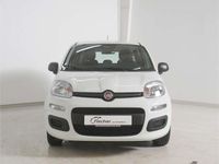 Neu Fiat Panda Icon 69 PS (50 kW) 2025 Weiss Limousine