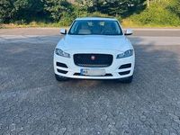 Gebraucht Jaguar F-Pace 300 PS (220 kW) 2016 Weiß SUV