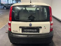Gebraucht Fiat Panda Active 54 PS (39 kW) 2007 Weiß Kleinwagen