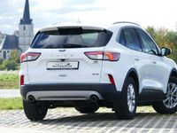 Gebraucht Ford Kuga Titanium X 152 PS (111 kW) 2022 Frostweiß SUV