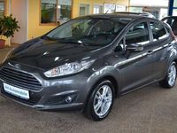 Gebraucht Ford Fiesta Trend 101 PS (74 kW) 2015 Grau Kleinwagen