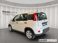 Gebraucht Fiat Panda 69 PS (50 kW) 2023 Weiss) (weiss Kleinwagen