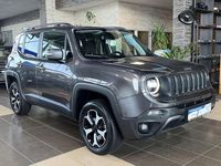 Gebraucht Jeep Renegade Trailhawk 170 PS (125 kW) 2019 Grau SUV