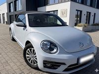 Gebraucht VW Beetle Sound 105 PS (77 kW) 2017 Weiß Kleinwagen