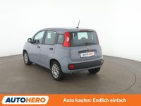 Gebraucht Fiat Panda Easy 69 PS (50 kW) 2020 Grau Limousine