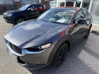 Gebraucht Mazda CX-30 Homura-Line 140 PS (102 kW) 2024 Machine grey SUV