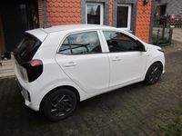 Gebraucht Kia Picanto Vision 79 PS (58 kW) 2024 Weiß Kleinwagen