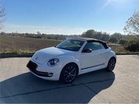 Gebraucht VW Beetle Cabriolet Cup 105 PS (77 kW) 2014 Weiß Cabrio