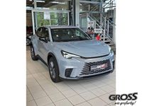 Neu Lexus LBX 136 PS (100 kW) 2025 Grau SUV