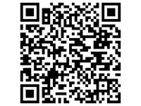 Gebraucht Audi S6 Ambiente 344 PS (253 kW) 2024 Daytonagrau perleffekt Kombi