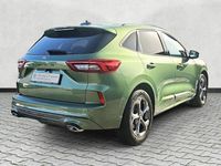 Gebraucht Ford Kuga ST 186 PS (136 kW) 2025 Grün SUV