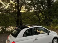 Gebraucht Fiat 500 69 PS (50 kW) 2016 Weiß Cabrio
