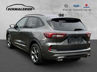 Neu Ford Kuga ST-Line 186 PS (136 kW) 2025 Magneticgrau (metallic) SUV