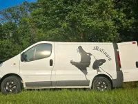Gebraucht Opel Vivaro-e Combi 114 PS (83 kW) 2026 Weiß Van / Kleinbus