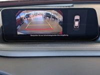 Neu Mazda CX-30 Prime-Line 140 PS (102 kW) 2026 Grün SUV