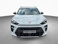 Gebraucht Cupra Terramar VZ 272 PS (200 kW) 2025 Vsszzzkp2t1007914 SUV