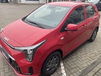 Neu Kia Picanto Vision 68 PS (50 kW) 2025 Rot Kleinwagen