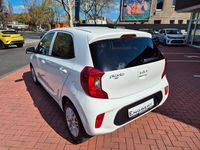 Gebraucht Kia Picanto Vision 67 PS (49 kW) 2023 Weiß Kleinwagen