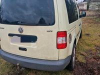 Gebraucht VW Caddy Life 80 PS (58 kW) 2006 Andere farben Van / Kleinbus
