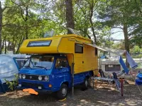 Brugt VW T3 69 HK (50 kW) 1985 Blå Van