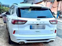 Gebraucht Ford Kuga ST-Line 225 PS (165 kW) 2023 Weiß SUV