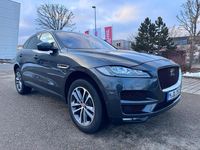 Gebraucht Jaguar F-Pace 300 PS (220 kW) 2019 Grau SUV