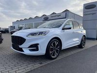 Gebraucht Ford Kuga ST-Line 150 PS (110 kW) 2023 Frostweiß SUV