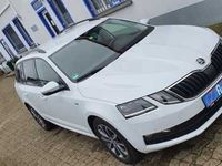 Gebraucht Skoda Octavia Drive 150 PS (110 kW) 2017 Weiß metallic Kombi