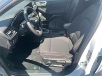 Neu Ford Focus ST-Line 125 PS (91 kW) 2025 Frozen white Kombi