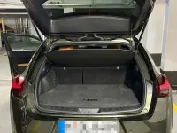 Gebraucht Lexus UX 300h Sport Design Packet 199 PS (146 kW) 2025 Grün SUV