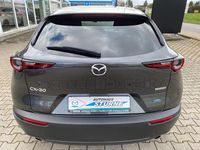 Gebraucht Mazda CX-30 122 PS (89 kW) 2022 SUV
