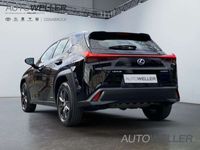gebraucht Lexus UX 250h Launch Edition *Navi*LED*BT*Klima*