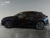 Gebraucht Lexus UX 300h Sport Design Packet 199 PS (146 kW) 2024 Schwarz SUV