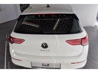 gebraucht VW Golf VIII United 1.0 TSI Navi LED ACC
