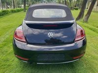 Gebraucht VW Beetle Design 110 PS (80 kW) 2017 Ebenholzschwarz Kleinwagen