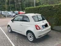 gebraucht Fiat 500 1.2 8V Start&Stopp Star