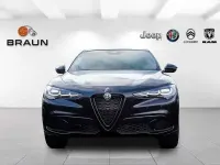 Neu Alfa Romeo Stelvio Veloce 280 PS (205 kW) 2025 Nero vulcano SUV
