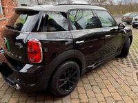 gebraucht Mini Countryman SD