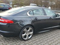 Gebraucht Jaguar XF Portfolio 275 PS (202 kW) 2011 Grau Limousine