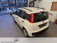 Gebraucht Fiat Panda 69 PS (50 kW) 2014 Colore esterno (weiss) Limousine