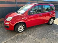 Gebraucht Fiat Panda 69 PS (50 kW) 2013 Rot Kleinwagen